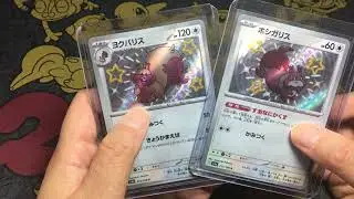 2024 Pokemon Rare shiny Skwovet and Greedent from Paldean Fates #tcgpokemon