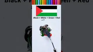 What color do mixed flag make? (Palestine edition) #colormixing #satisfying #flagmixing