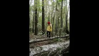 Autumn Equinox- Finding Equilibrium