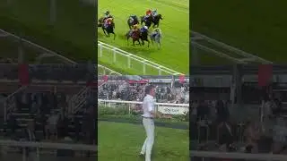 The ecstasy and agony of horse racing