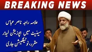 PTI-supported Raja Nasir Abbas appointed Senate opposition leader