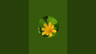 Mansi is live. Hello everyone welcome to my live 😀♥️