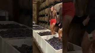 Unique Process of Wine Production #shorts