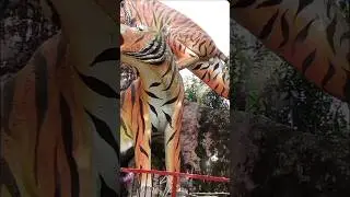 royal Bengal Tiger/🐅/royal Bengal Tiger Bagh#tiger #shorts #video #viralshort
