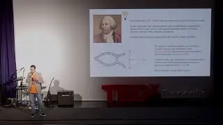 Il paradigma della complessità | Nicola Amoroso | TEDxBisceglie