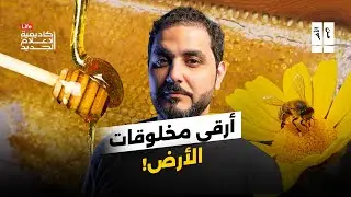 من الآخر | أسرار حياة الملكة!