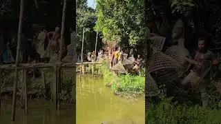 Asian Country Fishing #shorts | Amazing Rural Fishing Video 🇮🇳 Best Asian Fishing Technique #shorts