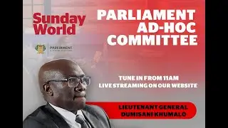Ad Hoc Committee| 15 January 2025