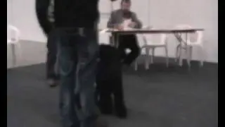 Movie_0002.wmv
