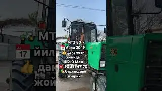 🚜Беларус МТЗ 80 х📅 йили 2019 👍 дакумети жойида💵210 Млн☎️ +998905214770🏡Сурхандарё Кизирик #duet