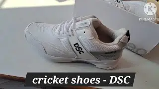 🏏 &ldquo;DSC Shoes Review &ndash; Cricket Lovers Must Watch!&rdquo;