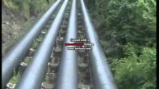 Lower camp Thekkady