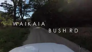Waikaia Bush Road