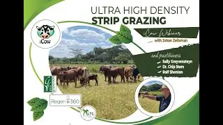 iCow Webinar-Ultra High Density Strip Grazing with Johan Zietsman