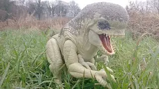 Distortus Rex Toy Photography Compilation 