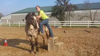 Train your Horse to Stand Patiently for Mounting with Hannah Barden at Faith Training Center