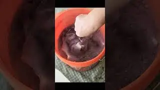 Fabric Dye Process