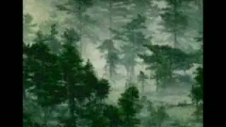 Ulver-Ulveratternes Kamp for shadowmorrison420