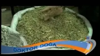 Doktor Doga programı - saglikturk tv