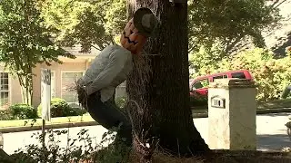 Georgia homeowner censors Halloween display after HOA complaints