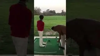 Golf driver swing -  natural,effortless by smwk