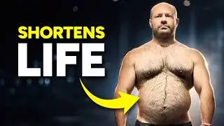 Your Beer Belly Is Killing You LITERALLY (Science Explains)