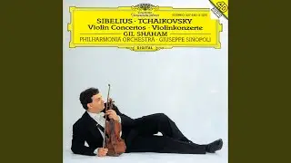 Sibelius: Violin Concerto in D Minor, Op. 47: II. Adagio di molto
