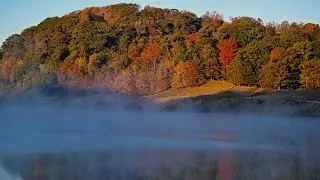 Little Foggy Photos 