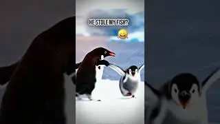 PENGUINS Go On The Greatest Fish Chase Ever!