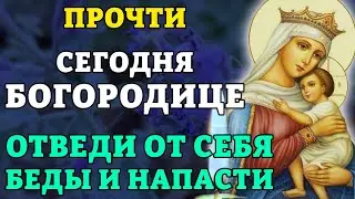 28 января ПРОЧТИ БОГОРОДИЦЕ! ОТВЕДИ БЕДЫ И НАПАСТИ! Икона Отчаянных Единая Надежда. Православие.