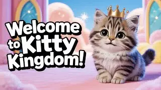 welcome to kitty kingdom