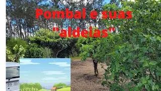 Vivendo numa 