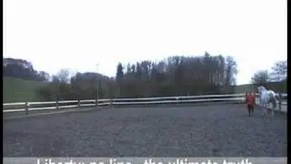 2011_03_09 Karin and Krim.mp4