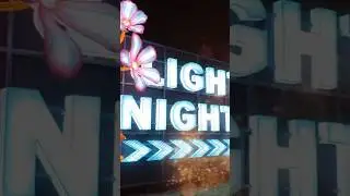 Night Magic at Ouwehands Dierenpark 🌙✨ Glowing Zoo