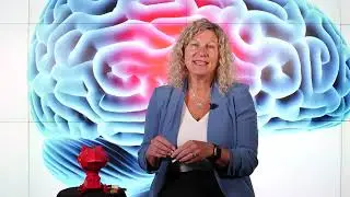 Ask Me Something: What happens when you get a concussion?
