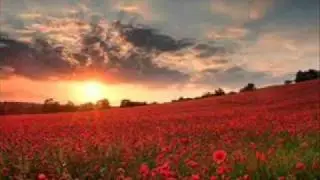Little brown bird - a Manx lullaby.wmv