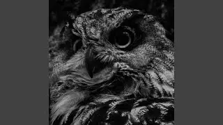 Conscious Darkness