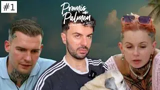 🎬 Ehestreit INSZENIERT?? 🎥 lights, camera, action!  |&nbsp;#1 Promis unter Palmen 2026