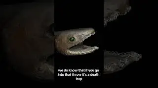 the frilled shark
