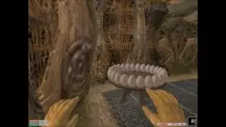 Let's Play Morrowind Part 152: Auriel's Bow