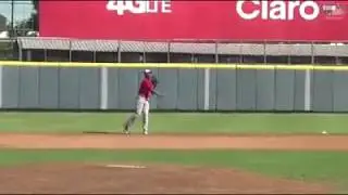 Wander Franco, Top International Prospect, SS