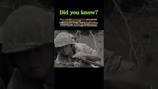 The Code That Japan Never Broke: The Navajo Code Talkers of WWII