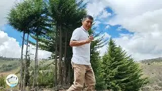 Visitando Huambocancha Alta, Cajamarca