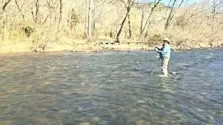 @beaversbendflyfishingguide3899