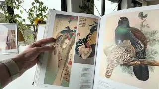 BIRD: The Great Age of Avian Illustration