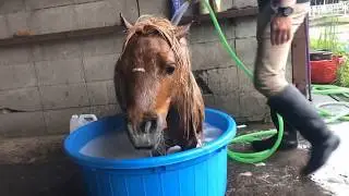 えだまめ、撮影前日のルーティーン