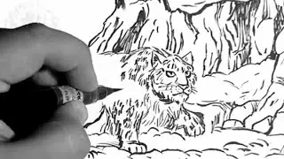 SNOW LEOPARD - Full ink Drawing Process!