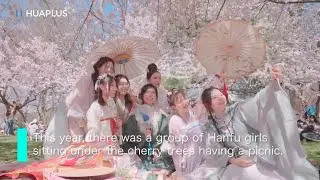 Insta-Worthy HANFU Girls in the Dreamy Cherry Blossoms of Washington DC
