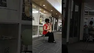 Wendy Zhou pipa 琵琶 concert at library, 2022 summer Rogers&lsquo; outage