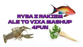 🔥RYBA Z RAKIEM ALE TO MOCNA VIXA 4FUN MASHUP🔥